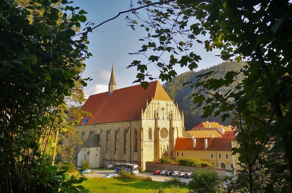 Das Münster | © Andreas Steininger