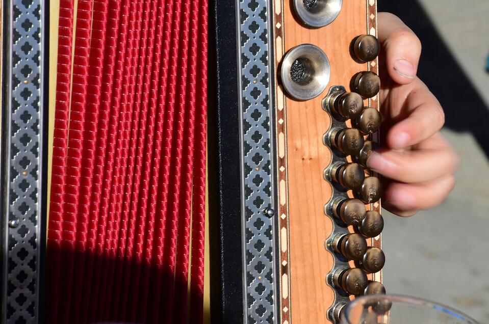 Steirische Harmonika | © Wolfgang Spitzbart, AdobeStock