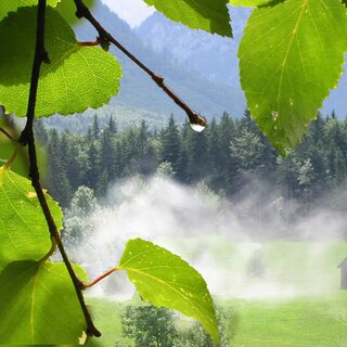 meadow | © TVB Ausseerland - Salzkammergut_Eva Griese