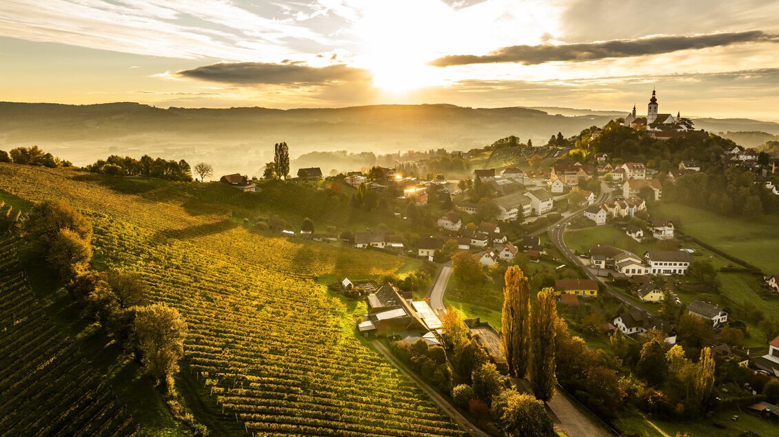 Eine malerische Landschaft mit Weinbergen und sanften Hügeln. Die Sonne geht hinter einem kleinen Dorf auf und taucht die Szene in warmes Licht. | © Point of View