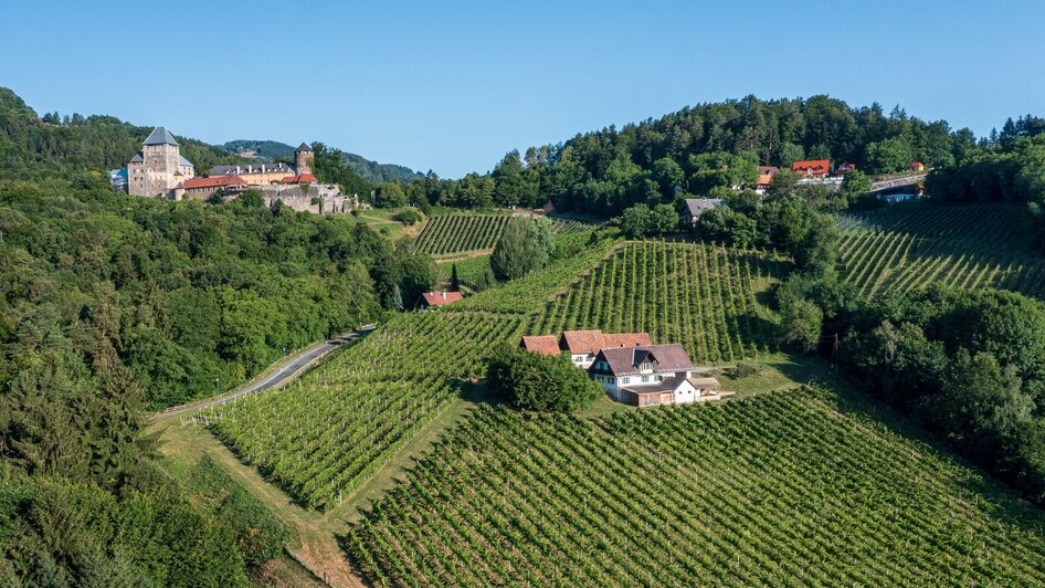 Weingut Kollar-Göbl | © pixelmaker_WEIN Steiermark