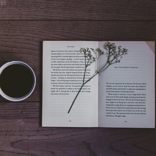 Lesung | © florencia-viadana-unsplash