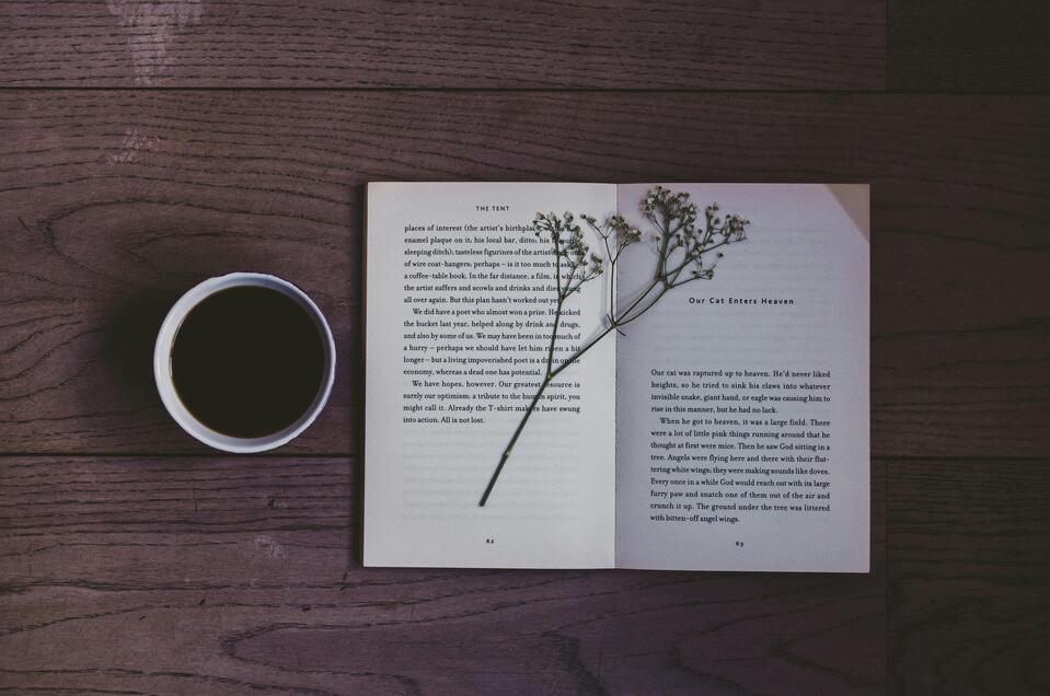 Lesung | © florencia-viadana-unsplash