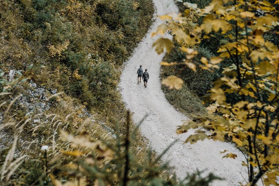 Ein gewundener Weg durch eine herbstliche Landschaft. Zwei Personen gehen entlang des Weges zwischen bunten Bäumen. | © Max Mauthner