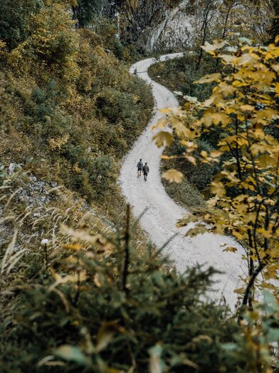 Luchstrail | © Max Mauthner | Max Mauthner | © Max Mauthner