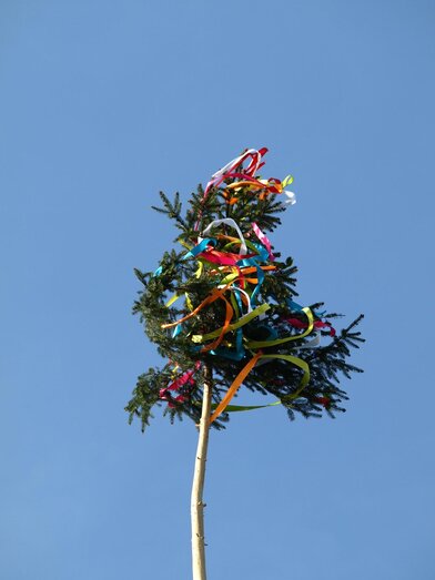 Maibaum-Murtal-Steiermark | © Pixabay | Pixabay | © Pixabay