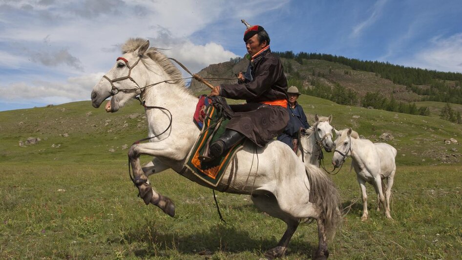 Horse Tamer | © Vivien Lemaignan