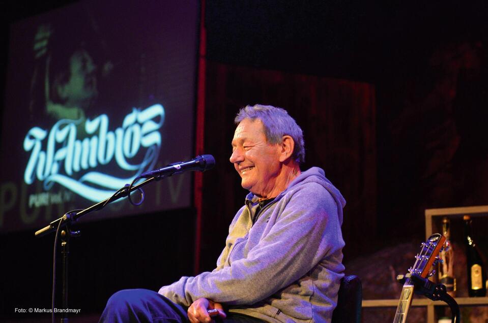 Wolfgang Ambros