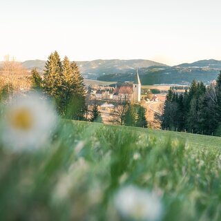 Blick auf Kirche in Mariahof | © TV Murau