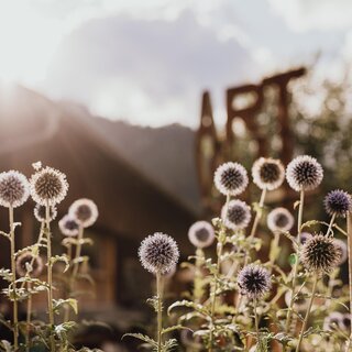 Summer of Art | © nicoleseiser.at