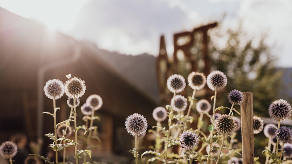 Summer of Art | © nicoleseiser.at