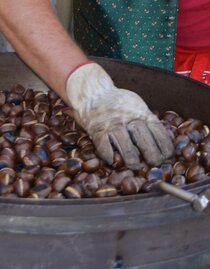 chestnut | ©Thermen-&Vulkanland/Lederer Josef | ©Thermen-&Vulkanland/Lederer Josef | © ©Thermen-&Vulkanland/Lederer Josef