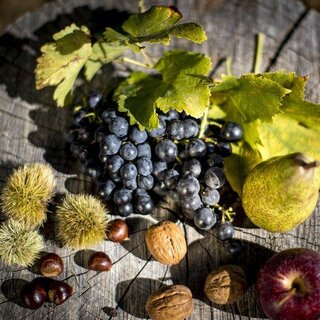 chestnut | © © Tom Lamm