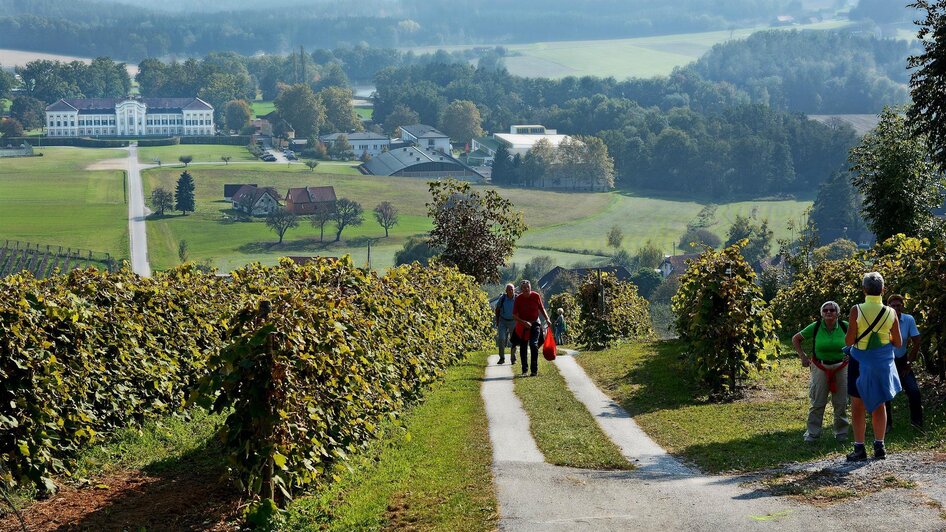 Sturmwanderung mit Blick zum Schloss Schielleiten | © Tourismusverband Oststeiermark