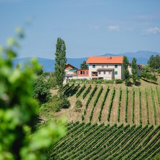 Tinnauer Buschenschank | © Buschenschank Tinnauer