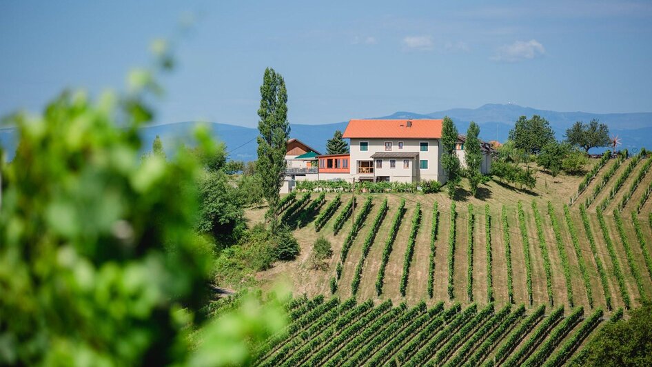 Tinnauer Buschenschank | © Buschenschank Tinnauer