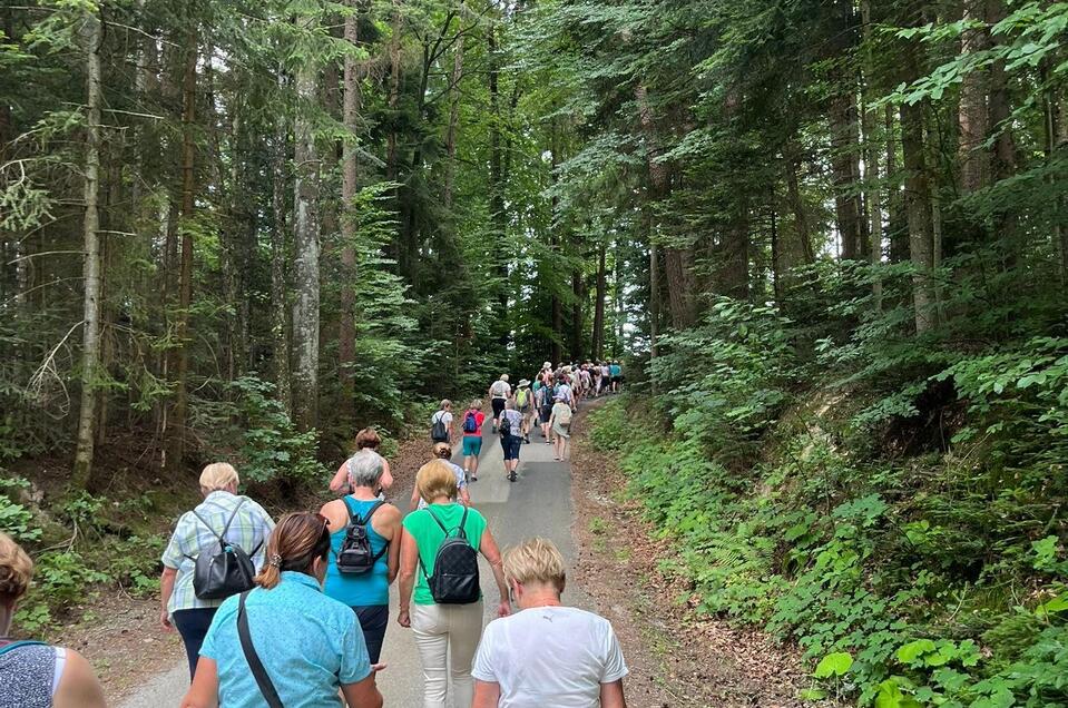 Wanderer_Naturpark Pöllauertal_Oststeiermark | © Katharina Kröpfl