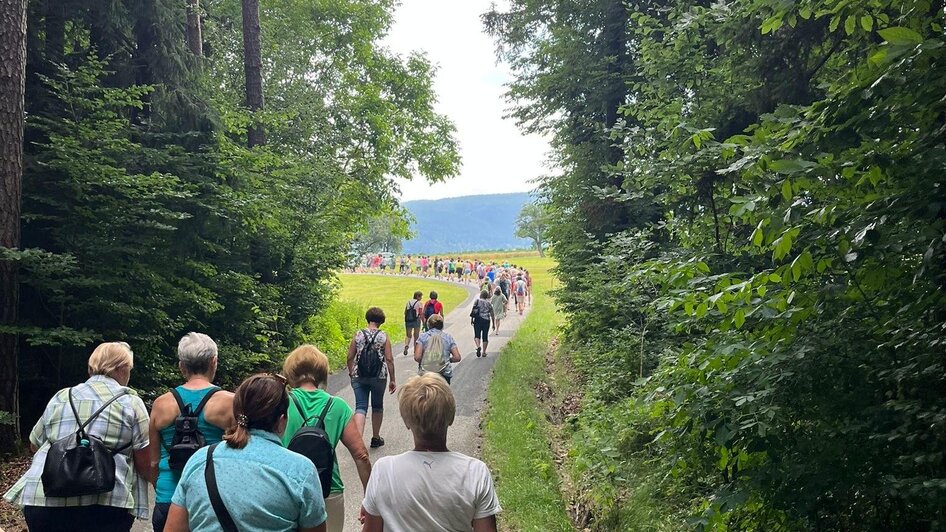Wanderer_Naturpark Pöllauertal3_ Oststeiermark | © Katharina Kröpfl