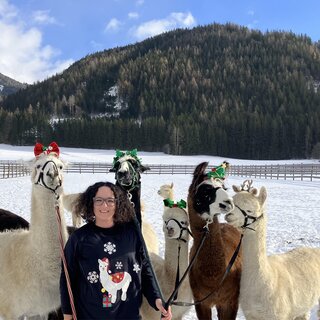 Weihnachten | © Alpaka, Lamas und Rentiere zum Grünen See