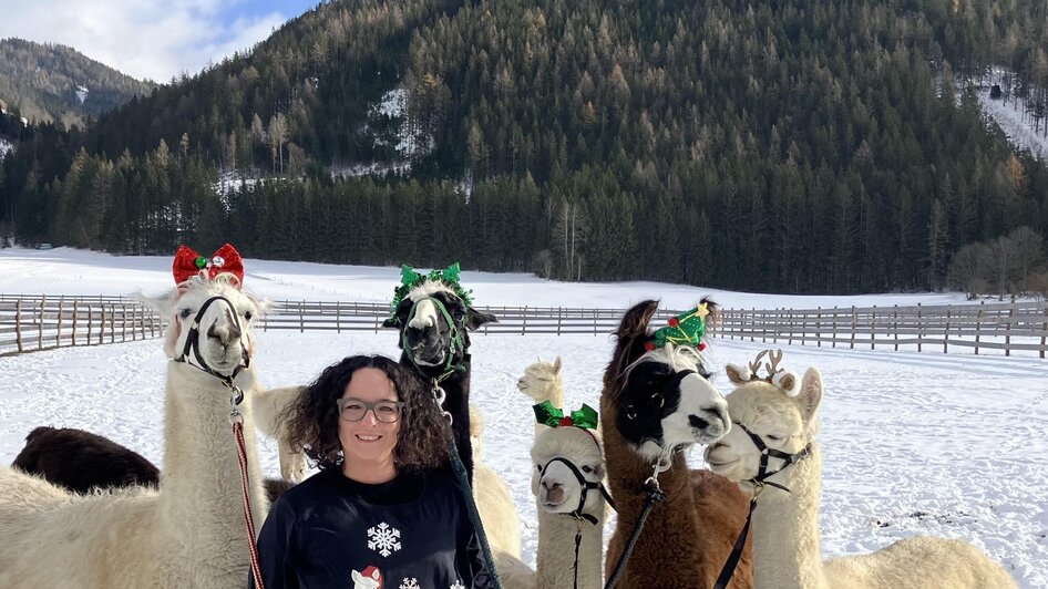 Weihnachten | © Alpaka, Lamas und Rentiere zum Grünen See