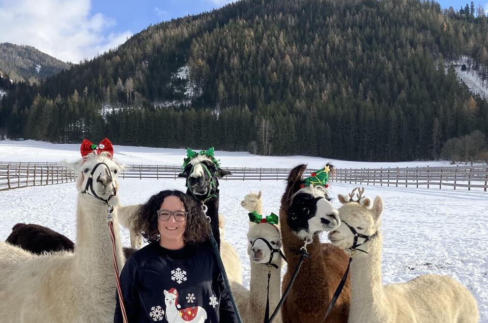 Weihnachten | © Alpaka, Lamas und Rentiere zum Grünen See