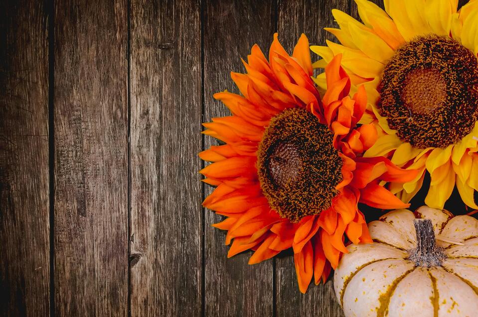 Herbst | © eric-tompkins-unsplash