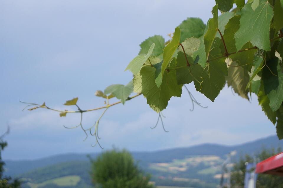 Ziagl´s Laube_Pöllau_Oststeiermark | © Michael Fischer
