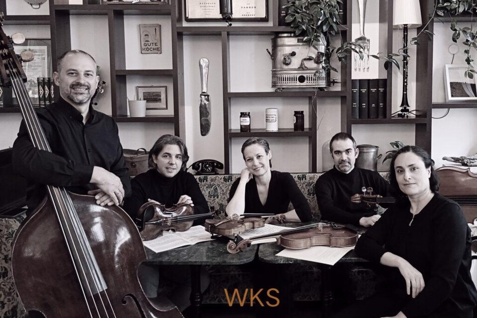 Wiener Kammersymphonie | © Die Künstler
