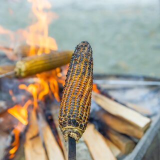 Corn