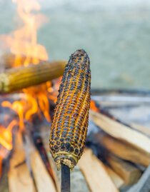 Corn | Freepik