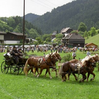 Zugpferdetreffen_Gespann_Oststeiermark | © Marktgemeinde Breitenau am Hochlantsch