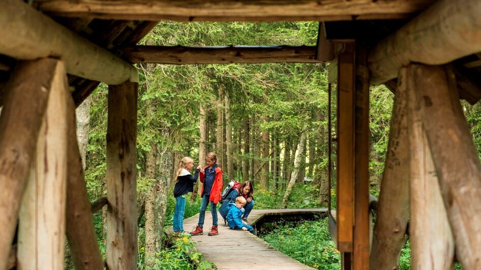 Kinder am Teichalm Moorlehrpfad