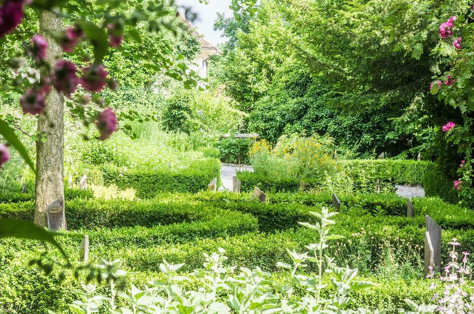 Kräutergarten am Weizberg - Impression #1 | © Alexandra Wagner