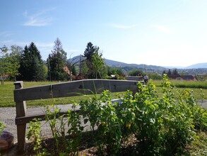 Hofbauer Landscape Park_Shrubs_Eastern Styria | © Landschaftspark Hofbauer