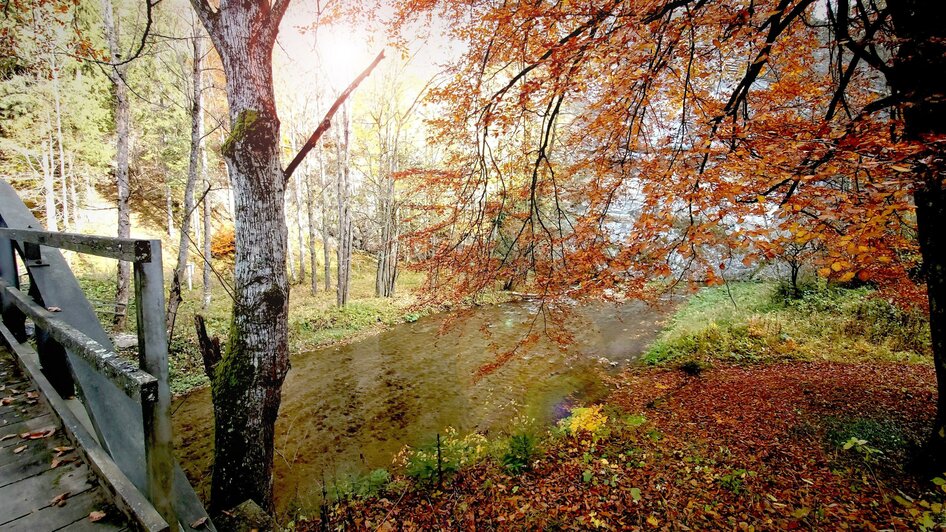 Raabklamm_Herbst Sonne_Oststeiermark_Pollhammer | © Tourismusverband Oststeiermark