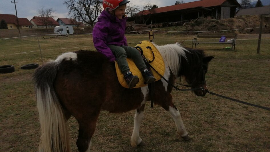 ABCHufis-Reiten1-Murtal-Steiermark | © ABC-Hufis