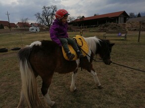 ABCHufis-Reiten1-Murtal-Steiermark | © ABC-Hufis