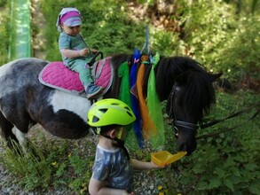 ABC-Hufis-Reiten1-Murtal-Steiermark | © ABC-Hufis