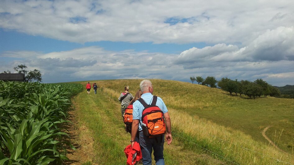 Geführte Wanderung auf den Spuren der Vulkane | © Spirit of Regions