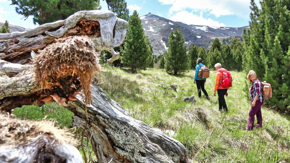 Sabathy-Wandern1-Murtal-Steiermark | © Almidylle Sabathy