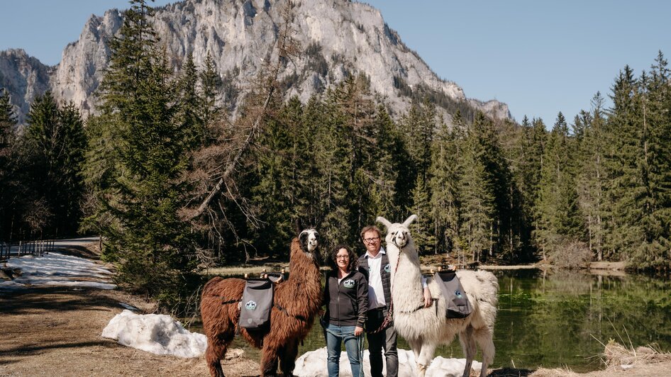 Mit Lamas unterwegs | © Alpakas, Lamas und Rentiere zum Grünen See