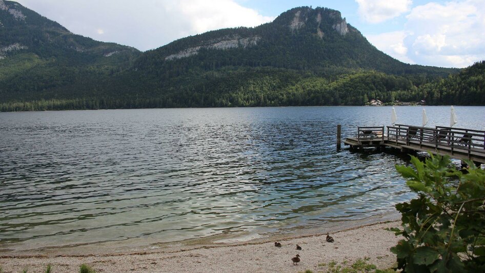 Altausseer See, Altaussee, See mit Enten | © Viola Lechner