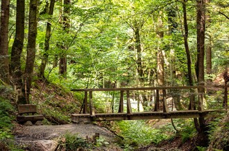 Altenbachklamm | © SYMBOL