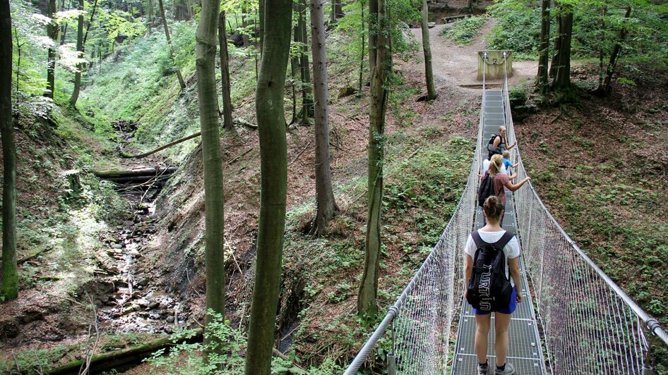 Altenbachklamm Brücke | © Ulrike Elsneg