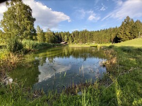 Fischteich Passail_Eastern Styria | © Tourismusverband Oststeiermark