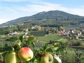 Apfelhof_Landschaft_Oststeiermark | © Tourismusverband Oststeiermark