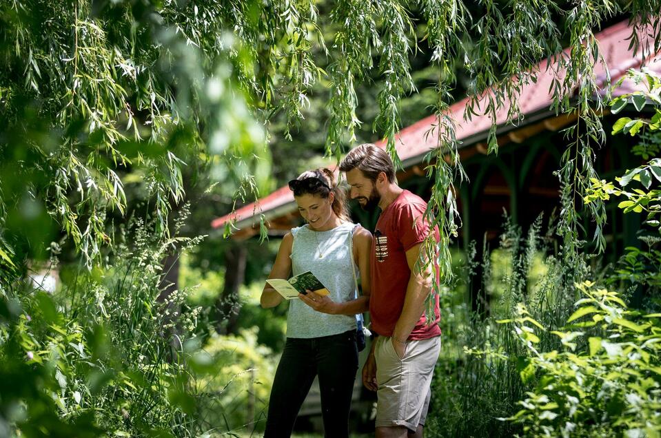 Arboretum und Teehaus - Impression #1 | © Region Graz - Tom Lamm