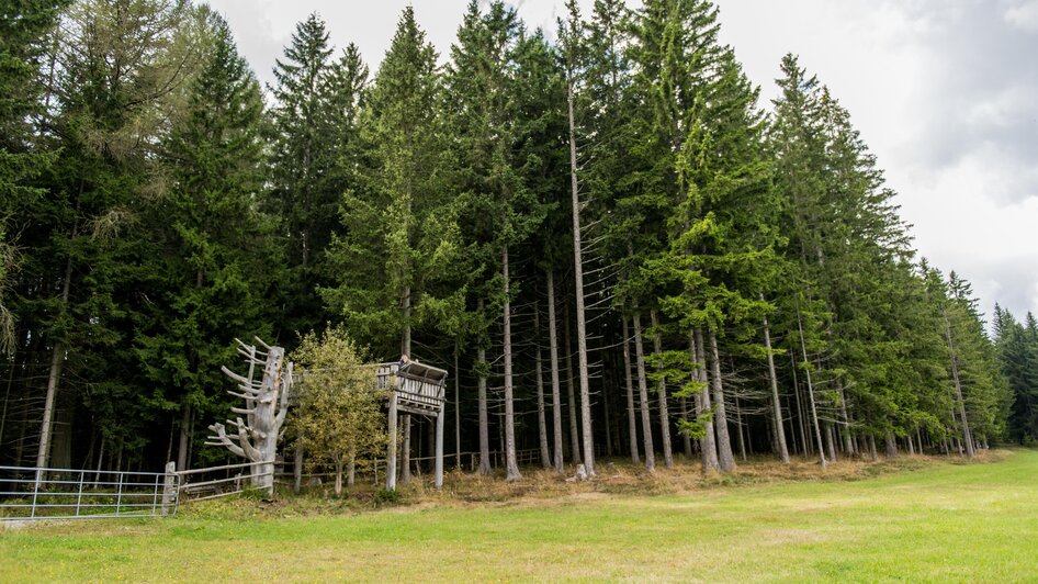 Aussichtsplattform-Ansicht4-Murtal-Steiermark | © Erlebnisregion Murtal