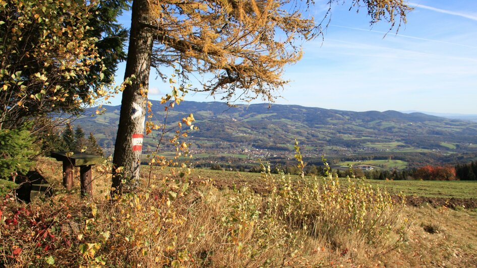 Jochbauerhöhe_Ausblick_Oststeiermark | © Hermann Auerbäck