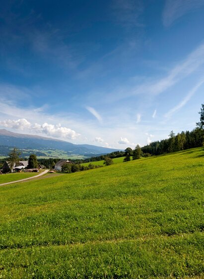 Aussicht | Tom Lamm | © Holzwelt Murau